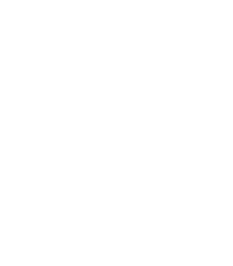 nude icon